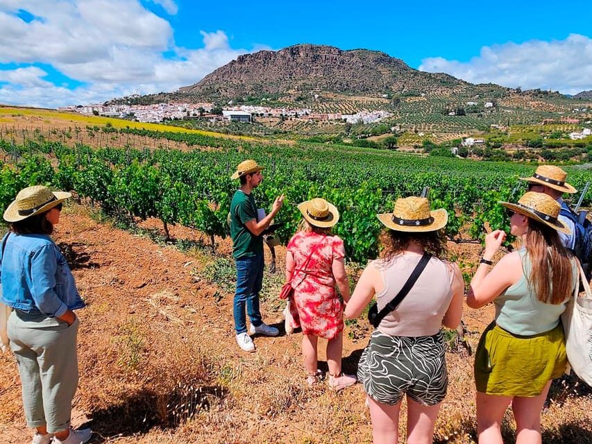 Malaga: White Village, Vineyard, and Wine Tasting Wine Tour - From Malaga to Álora: Small-Group Pickup and First Views