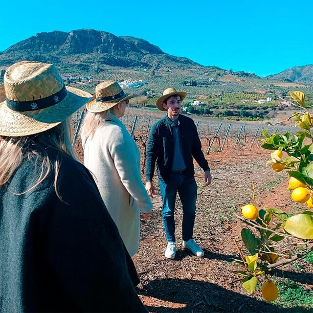 Malaga: White Village, Vineyard, and Wine Tasting Wine Tour - What You’ll Learn About Wine (and How to Taste Like a Pro)