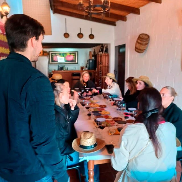 Malaga: White Village, Vineyard, and Wine Tasting Wine Tour - Price and Value for $106: What’s Included and What You Get for Your Time