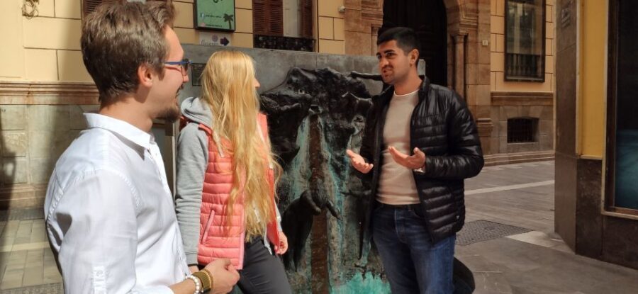 Malaga: Wine Guided Tour - Tapas Pairings That Aren’t Afterthoughts