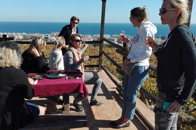 Manilva Oceanfront Wine Experience in the Marbella Area - CIVIMA Wine Museum: Where Manilva Grapes Get Their Backstory