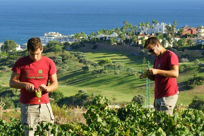 Manilva Oceanfront Wine Experience in the Marbella Area - NILVA Winery Inside the CIVIMA Building: Tasting From the Source