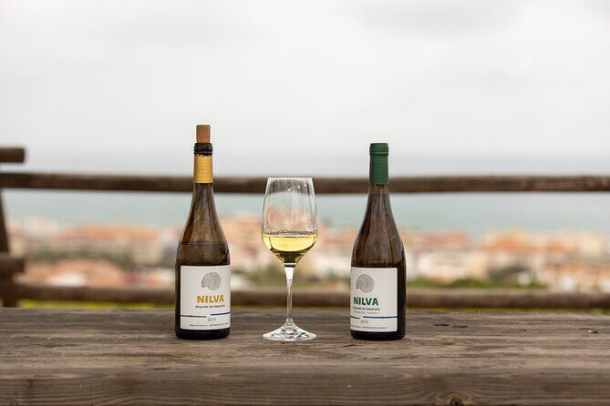 Manilva Oceanfront Wine Experience in the Marbella Area - Who This Tour Is Perfect For (and Who Should Skip It)