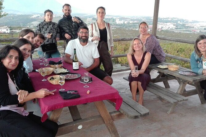 Manilva Oceanfront Wine Experience in the Marbella Area - The Tasting and Snacks: Three NILVA Wines With Ham and Cheese