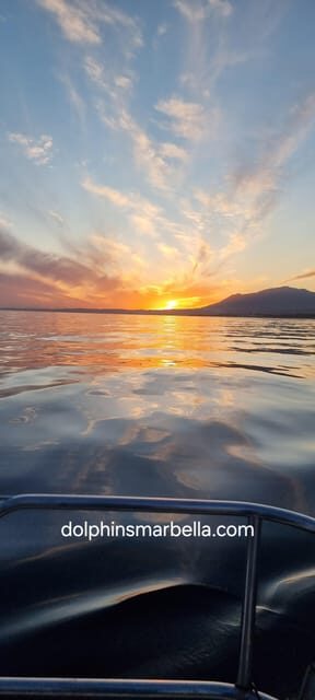 Marbella: Dolphin-Watching Sailboat Trip with Drinks, Snacks - Key points before you go