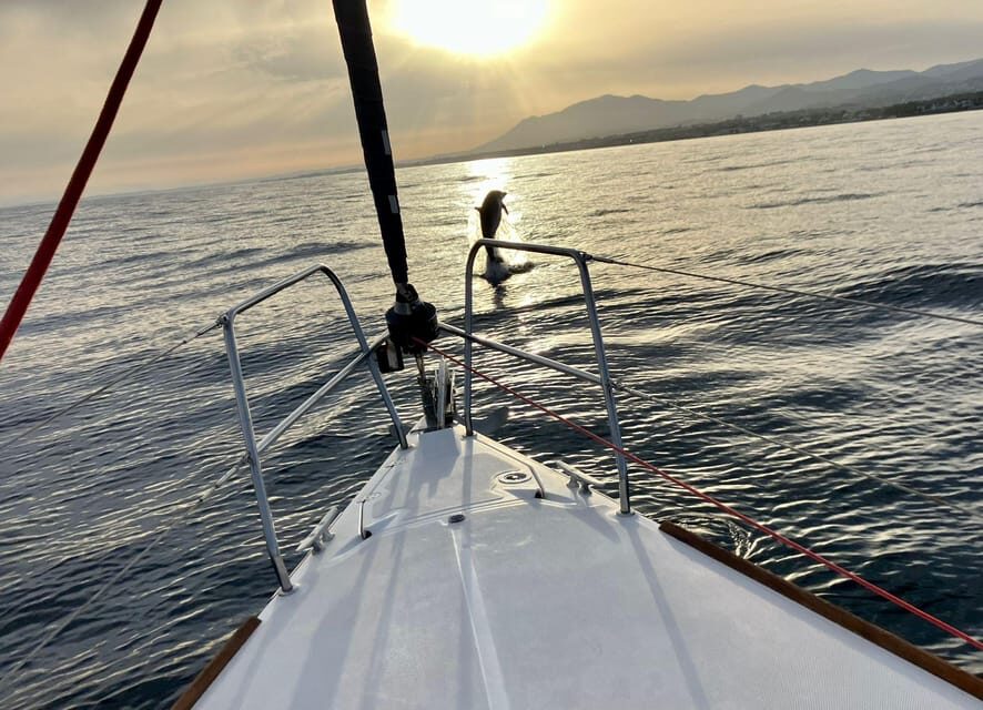 Marbella: Dolphin-Watching Sailboat Trip with Drinks, Snacks - A Quick Reality Check: Dolphins Aren’t a Contract