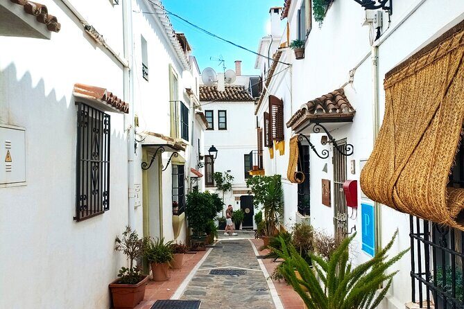Marbella: group walking Tour - Avenida del Mar: Dali sculptures and a real seaside stroll