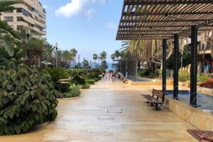 Marbella Old Town: Group Tour with a True Local - Meeting at Alameda Park and walking into the Old Town frame