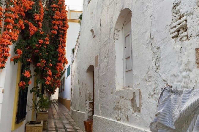 Marbella Old Town group tour with a True Local - Hospital Bazán and the free National Engraving Museum option
