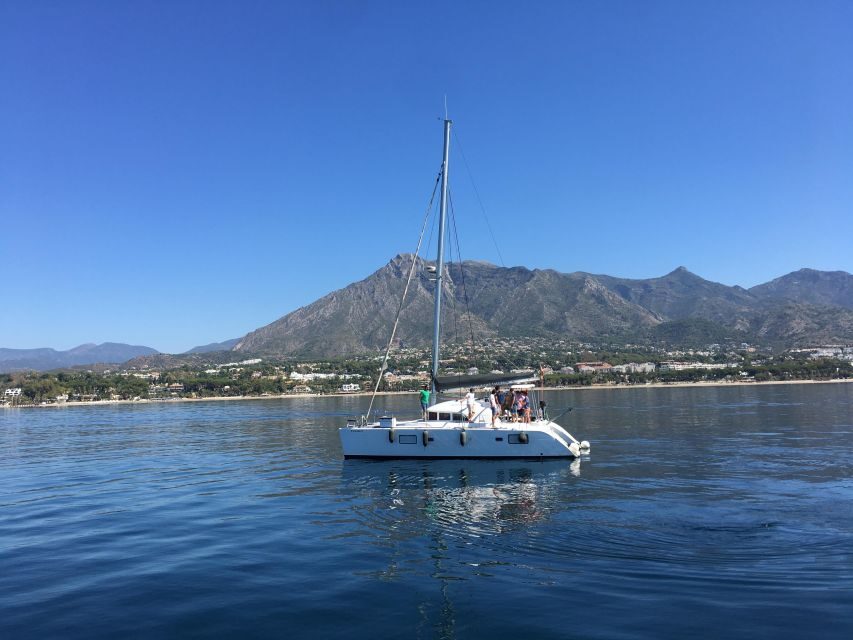Marbella: Private Cruise in Catamaran - Dolphin spotting and marine life: what the skipper actually does