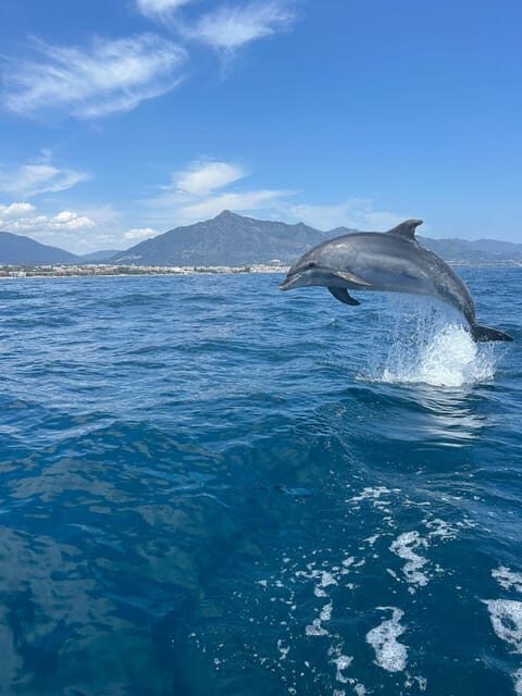 Marbella: Sailing & Dolphin Watching with Snacks and Drinks - Key points that make this Marbella dolphin cruise worth it