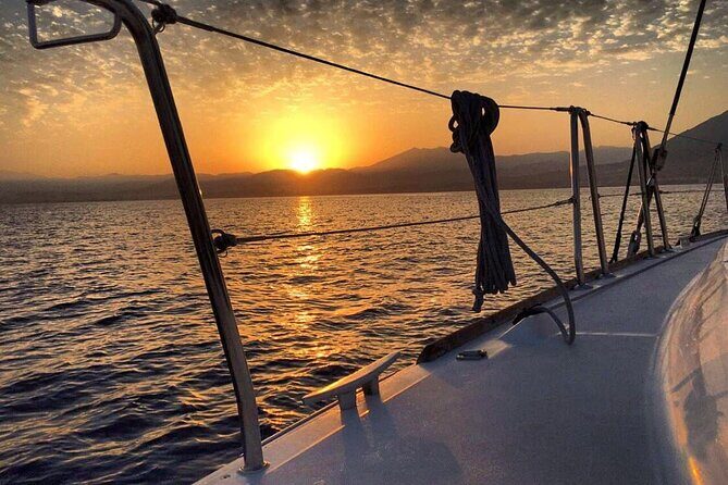 Marbella Small Group Catamaran with Dolphin Watching - Dolphin Watching: How the Crew Improves Your Odds