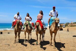 Morocco: Tangier Private Tour from Malaga & Tarifa, All Inclusive - From Malaga to Tangier: the ferry moment that changes the day