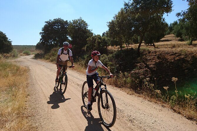 MTB (Self-Guided) Setenil de las Bodegas - 30km Easy - The route in plain terms: what 30km feels like