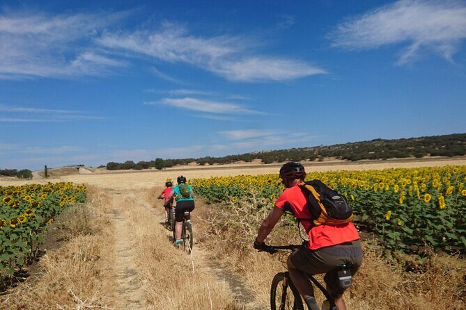 MTB (Self-Guided) Setenil de las Bodegas - 30km Easy - Transfers, bikes, and comfort: what matters before you ride