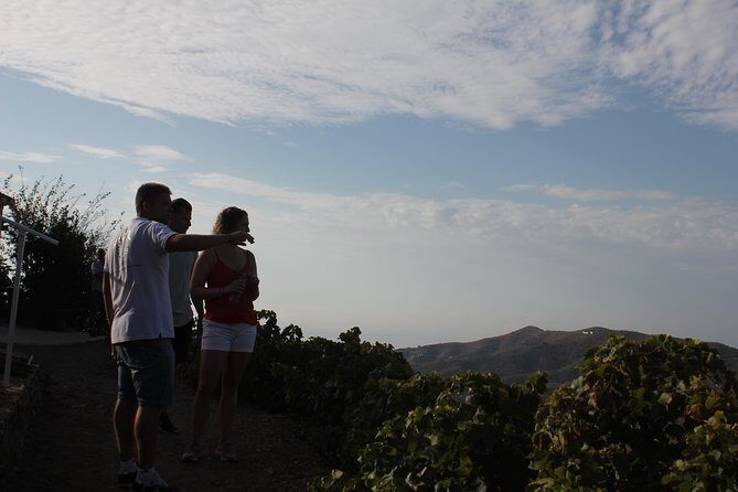 Muscat Raisin Route - Small group with lunch included - Raisin Route Reality: What This Day Looks Like