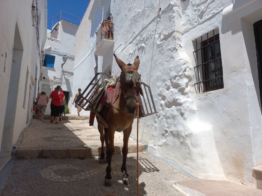 Nerja, Frigiliana & El Acebuchal: Full-Day Semi-Private Tour - Frigiliana, the Village of the Three Cultures: guided walking plus free time