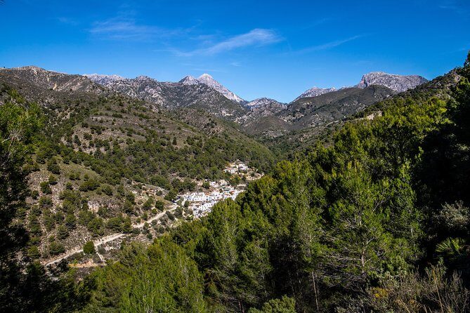 Nerja (Pueblo) + Frigiliana & El Acebuchal - Semi-Private - Guides, Pace, and the Small-Group Difference