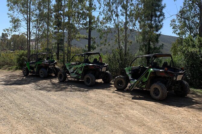 Off-road buggy tour Sierra de Mijas buggy 2h - Guide Energy and the Alex Factor: Knowledge Plus Photos You’ll Actually Keep