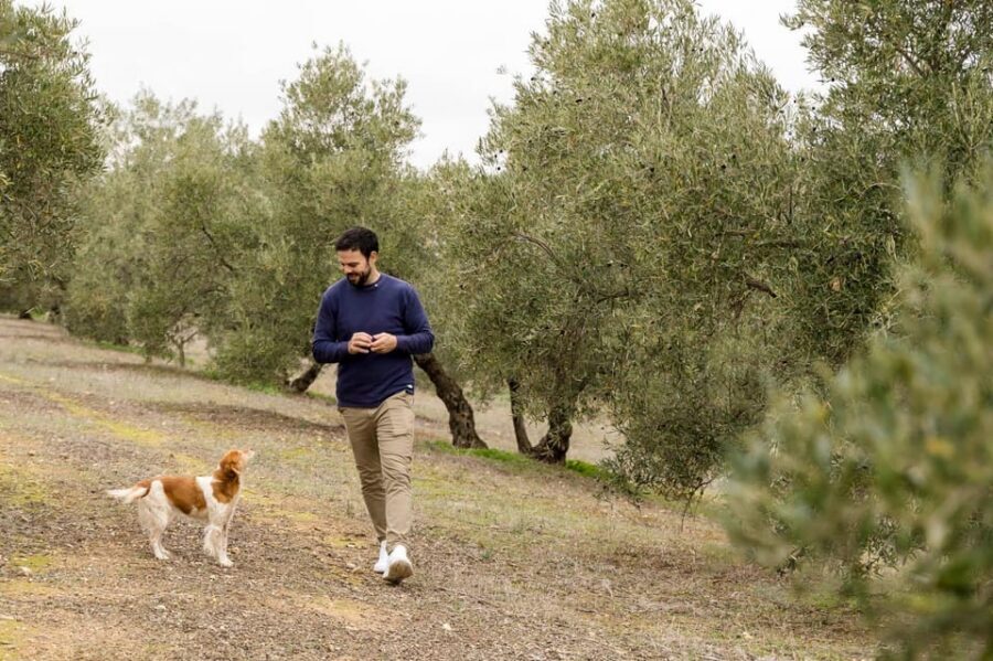 OLIVE OIL & WINE TOUR Organic fields - 5 Wines + 3Olive Oils - Walking the 100% Organic Fields Near Mollina