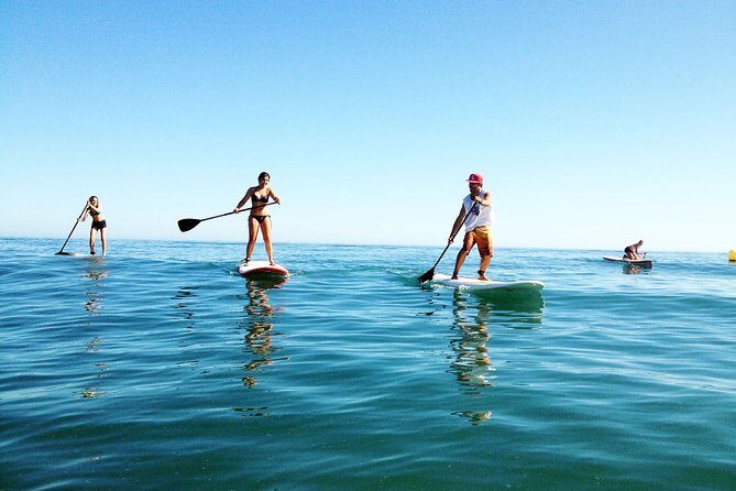 Paddle Boarding Tour on the beautiful Marbella Coast - Entering the Water Smoothly: What Happens at the Marina Start