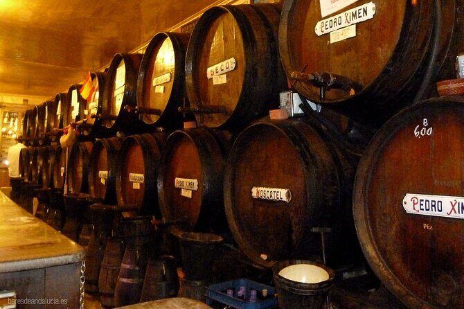 PREMIUM TAPAS TOUR: Paella, Market Tastings, and Winery - Antigua Casa de Guardia: welcome wine and a local-style start