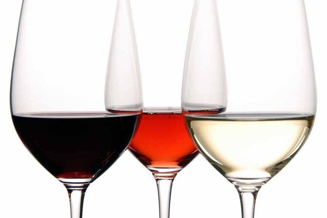 PREMIUM TAPAS TOUR: Tapas, Paella and Winery - The tapas-to-paella food math (and why it feels worth it)