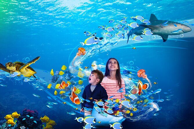 Premium Ticket Sea Life Benalmádena - Staff, Guided Narration, and the Names You Might Hear