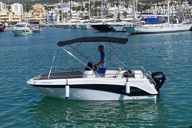 Private boat rental without title dolphin watching - Key highlights at a glance