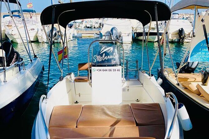 Private boat rental without title dolphin watching - Price and Value: What $60.24 Covers and What Can Add Up