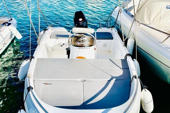 Private boat rental without title dolphin watching - Who This Boat Rental Suits Best (and Who Should Skip It)