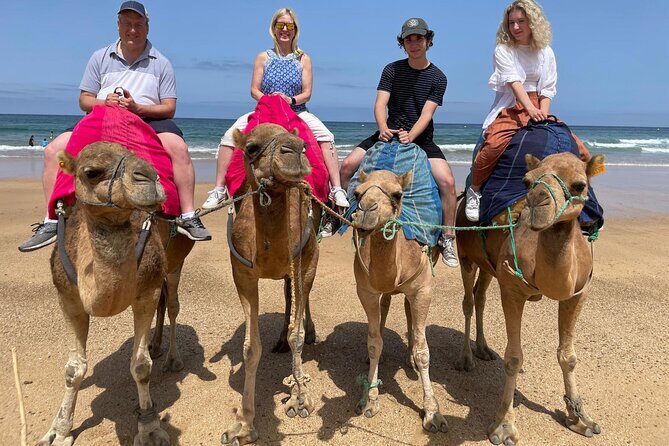Private Day Tour in Gibraltar and Tangier, Morocco from Malaga - Gibraltar and Tangier from Malaga: what your long day is really like
