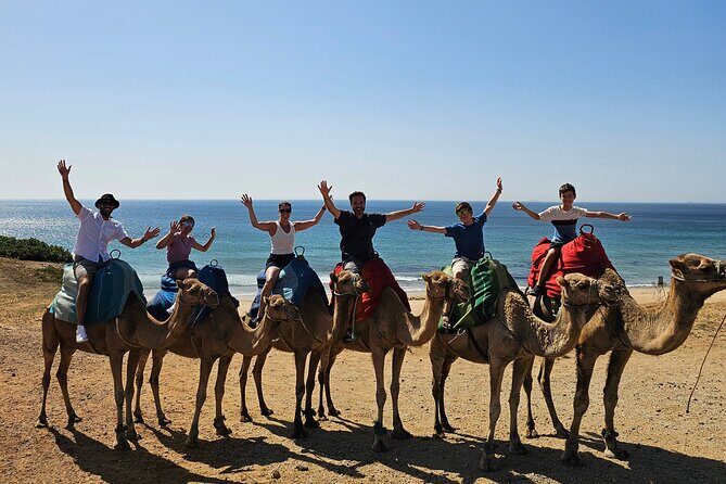 Private Day Tour in Gibraltar and Tangier, Morocco from Malaga - Gibraltar: La Roca, Punta Europa, and the macaque factor