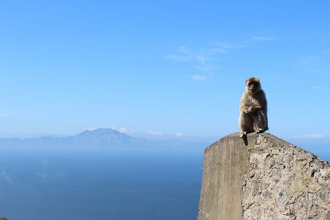 Private Day Tour in Gibraltar and Tangier, Morocco from Malaga - Ferry and border flow: why having guides matters