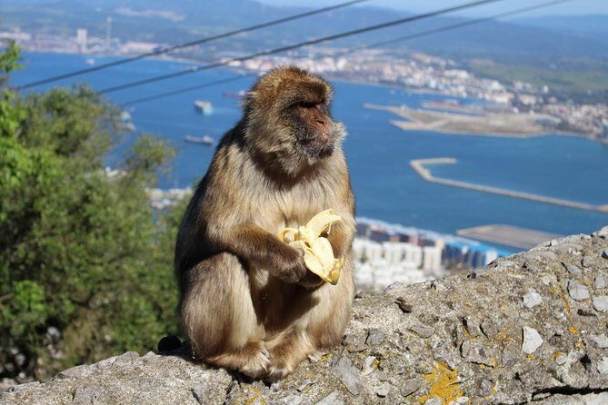 Private Day Trip to Gibraltar from Malaga or Marbella - Who this private Gibraltar day trip suits best