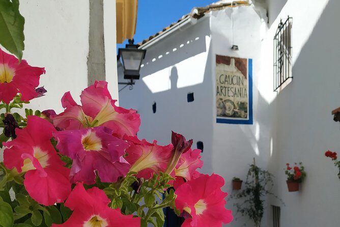 Private Excursion to Ronda from Costa del Sol 7 Hours - Arco de Felipe V and the St. Sebastian minaret tower