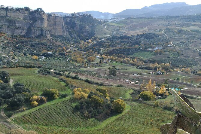 Private Excursion to Ronda from Costa del Sol 7 Hours - Paseo de Blas Infante: statues, bullfighting dynasties, and a fast history lesson