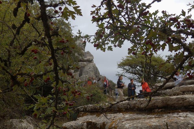 Private Guided Tour to Torcal de Antequera - If Weather Hits: Antequera Becomes Part of the Story