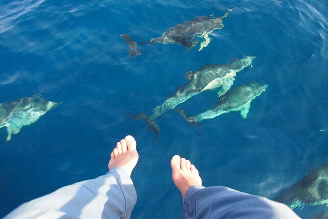 Private Sailing - dolphin Experience Estepona - drink & food - 4h - The water kit: snorkels, paddleboard, floating mattress