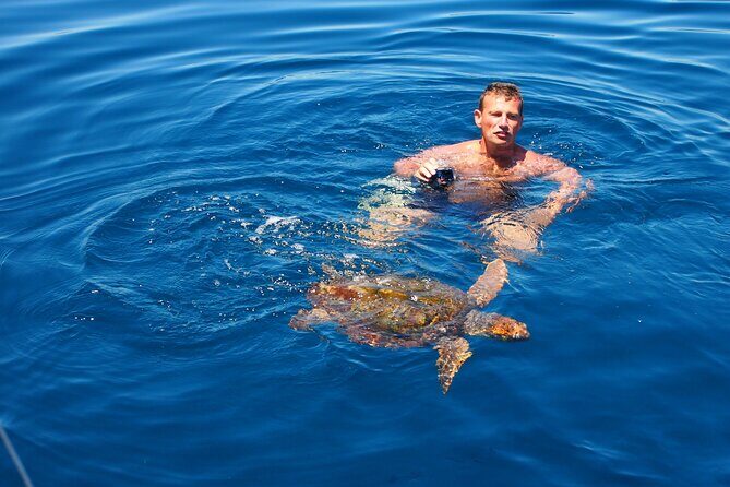 Private Sailing - dolphin Experience Estepona - drink & food - 4h - Food and drinks on board: what you should expect