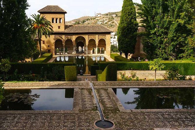 Private tour from Malaga to the Alhambra Palace and Granada - Your official English guide: what makes the pacing work