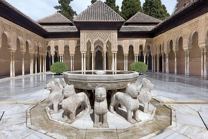 Private tour from Malaga to the Alhambra Palace and Granada - Round-trip transportation details that affect your comfort