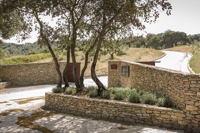 Ronda Private Full Day Wine Tour - What’s included for food and wine (and what you’ll pay for)