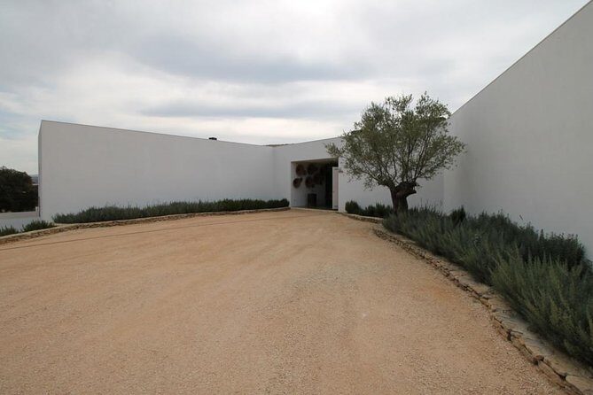 Ronda Private Full Day Wine Tour - La Melonera organic winery: from vines to the barrel room