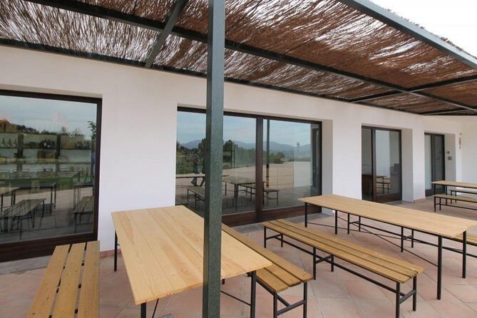 Ronda Private Wine Tour + Free Time in Ronda - Private Tour Value: The Thomas and Lorena Factor