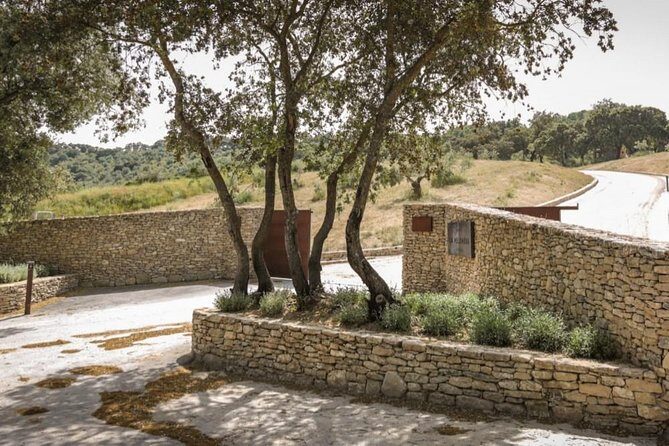 Ronda Private Wine Tour + Free Time in Ronda - Who This Tour Fits Best (and Who Might Prefer Another Option)