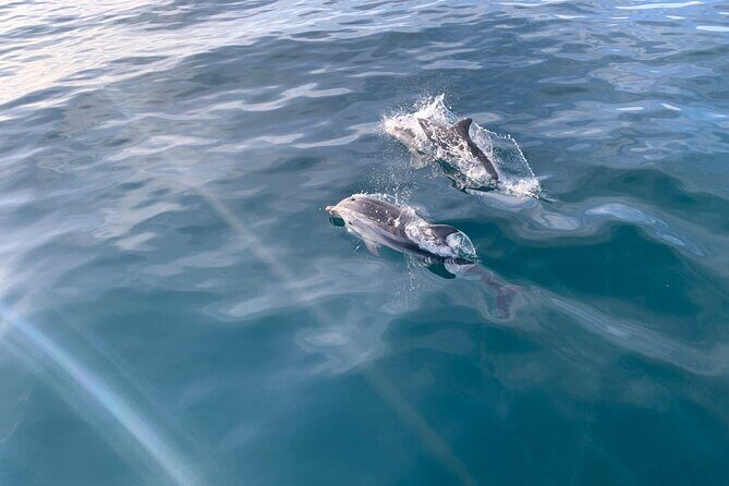 Sailing Adventure: Sailing, Dolphins and Relaxation with Drinks - Key Highlights You’ll Care About