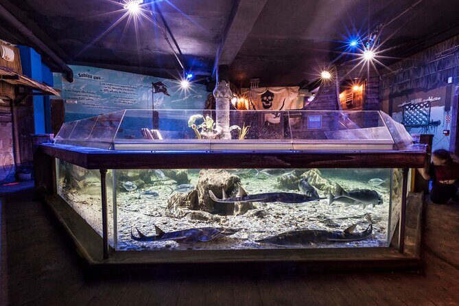 Sealife Benalmadena Entrance Ticket - Timing Your Visit: 1 to 1.5 Hours Works Best