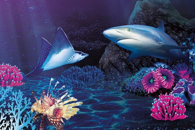 Sealife Benalmadena Entrance Ticket - Pacing, Group Size, and Why It Feels Smooth (Mostly)