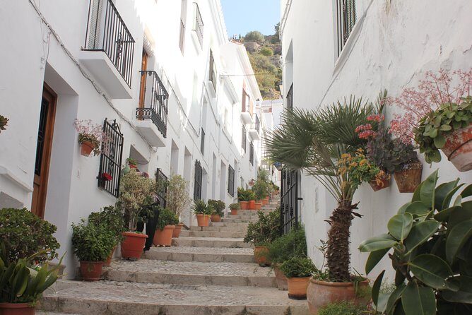 Semi-private Tour to Frigiliana and The Lost Village with lunch included - El Acebuchal: The Restored Village Story and a Lunch That Actually Feels Worth It
